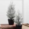 imageSullivans Flocked Christmas Pine Tree Set of 2 Christmas Decor Mini Christmas Trees Christmas Decorations Indoor Home Decor Flocked Trees Artificial Christmas Trees Tabletop Christmas Decor