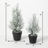 imageSullivans Flocked Christmas Pine Tree Set of 2 Christmas Decor Mini Christmas Trees Christmas Decorations Indoor Home Decor Flocked Trees Artificial Christmas Trees Tabletop Christmas Decor