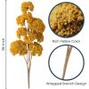 imageSullivans Mustard Yellow Yarrow Spray 26Inch Artificial Fake Flower Lifelike Centerpiece for Home Office Weddings and Gifts Decor