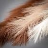 imageSullivans Natural Faux Dried Reed Spray Set of 3 4325Inch Artificial Fake Flower Dried Reed Bundles Lifelike Centerpiece for Home Office Weddings and Gifts Decor