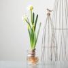 imageSullivans Paperwhite Flower with Bulb Stem 20quot White Narcissus Stem with Bulb White Small Daffodil Floral Stem Artificial Flowers Lifelike Paperwhite Realistic Flower GG51120