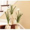 imageSullivans Paperwhite Flower with Bulb Stem 20quot White Narcissus Stem with Bulb White Small Daffodil Floral Stem Artificial Flowers Lifelike Paperwhite Realistic Flower GG51120