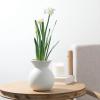 imageSullivans Paperwhite Flower with Bulb Stem 20quot White Narcissus Stem with Bulb White Small Daffodil Floral Stem Artificial Flowers Lifelike Paperwhite Realistic Flower GG51120
