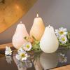 imageSullivans Vance Kitira Pear Candle Set of 3 Unscented 45 Inch CleanBurning Dripless RealWax Candles for Home and Hosting DcorNeutral
