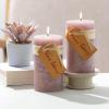 imageSullivans Vance Kitira Pillar Candle Set of 2 6Inch Sea Blue Candle Sets CleanBurning EnvironmentalFriendly Unscented HandPoured Wax Candles Home Dcor CT246SEAKITMauve