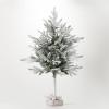imageSullivans 4 Foot Snowy Flocked Pine Tree in Bag Christmas Dcor Trees Holiday Decor Christmas Tabletop Trees Mantle Decor Christmas Decorations