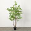 imageSullivans 73 Inch Towering Lace Fern Tree Everyday Artificial Trees Fake Indoor Tree Artificial Greenery Dcor Living Room Office Entryway Home Dcor
