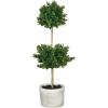 imageSullivans Artificial Double Boxwood Topiary 21quot H Green Everyday Home Decor Artificial Plants Indoor Artificial Greenery Room Kitchen Office ampamp Bathroom Dcor Fake Plants