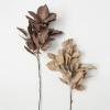 imageSullivans Artificial Dried Hydrangea Leaf Set of 2 43quot H Brown