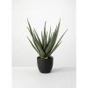 imageSullivans Faux Potted Aloe Indoor Artificial Greenery Dcor