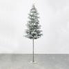 imageSullivans Flocked Pine Tree On Stand Christmas Dcor Trees Holiday Decor Christmas Tabletop Trees Mantle Decor Christmas Decorations