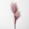 imageSullivans Large Faux Dried Champagne Reed Stem 4 FT Artificial Fake Reed Grass Flower Lifelike Large Feathery Plumes for Home Office Weddings and Gifts DecorPurple
