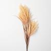 imageSullivans Large Faux Dried Champagne Reed Stem 4 FT Artificial Fake Reed Grass Flower Lifelike Large Feathery Plumes for Home Office Weddings and Gifts DecorChampagne