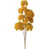 imageSullivans Mustard Yellow Yarrow Spray 26Inch Artificial Fake Flower Lifelike Centerpiece for Home Office Weddings and Gifts Decor