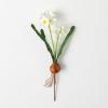 imageSullivans Paperwhite Flower with Bulb Stem 20quot White Narcissus Stem with Bulb White Small Daffodil Floral Stem Artificial Flowers Lifelike Paperwhite Realistic Flower GG511145