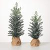 imageSullivans Snowy Pine Tree in Burlap Base Christmas Dcor Trees Holiday Decor Christmas Tabletop Trees Mantle Decor Christmas Decorations