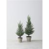 imageSullivans Tabletop Set of 2 Mini Cedar Trees Christmas Dcor Trees Holiday Decor Christmas Tabletop Trees Mantle Decor Christmas Decorations