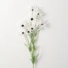 imageSullivans White Daisy Stem 38Inch Artificial Fake Flower Lifelike Centerpiece for Home Office Weddings and Gifts DcorWhite