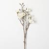 imageSullivans White Magnolia Stems Spray 335Inch Artificial Fake Flower Lifelike Centerpiece for Home Office Weddings and Gifts DecorWhite