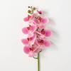 imageSullivans White Phalaneopsis Stem 385Inch Artificial Fake Flower Lifelike Centerpiece for Home Office Weddings and Gifts DcorPink