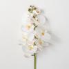 imageSullivans White Phalaneopsis Stem 385Inch Artificial Fake Flower Lifelike Centerpiece for Home Office Weddings and Gifts DcorWhite