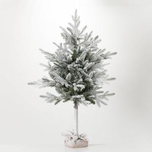 imageSullivans 4 Foot Snowy Flocked Pine Tree in Bag Christmas Dcor Trees Holiday Decor Christmas Tabletop Trees Mantle Decor Christmas Decorations