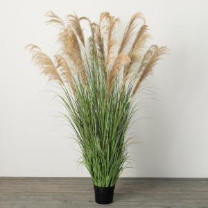 imageSullivans 64quotH Towering Potted Plume Grass Multicolored Everyday Home Decor Artificial Plants Indoor Artificial Greenery Room Kitchen Office ampamp Bathroom Dcor Fake Plants