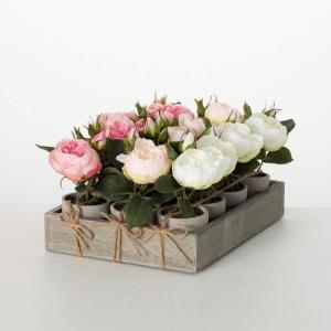 imageSullivans 6quot Artificial Potted Rose Crate of 12 Everyday Home Decor Artificial Plants Indoor Artificial Greenery Room Kitchen Office ampamp Bathroom Dcor Fake Plants