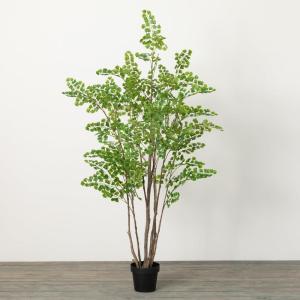 imageSullivans 73 Inch Towering Lace Fern Tree Everyday Artificial Trees Fake Indoor Tree Artificial Greenery Dcor Living Room Office Entryway Home Dcor