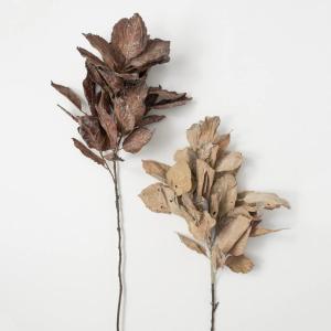 imageSullivans Artificial Dried Hydrangea Leaf Set of 2 43quot H Brown