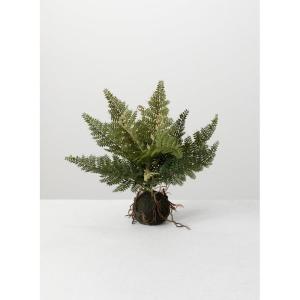 imageSullivans Artificial Fern in Ball 11quot H Green Everyday Home Decor Artificial Plants Indoor Artificial Greenery Room Kitchen Office ampamp Bathroom Dcor Fake Plants