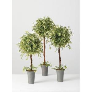 imageSullivans Artificial Set of 3 Wisteria Topiary 30quot H 26quot H ampamp 245quot H Green Everyday Home Decor Artificial Plants Indoor Artificial Greenery Room Kitchen Office ampamp Bathroom Dcor Fake Plants