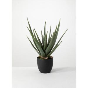 imageSullivans Faux Potted Aloe Indoor Artificial Greenery Dcor