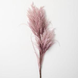 imageSullivans Large Faux Dried Champagne Reed Stem 4 FT Artificial Fake Reed Grass Flower Lifelike Large Feathery Plumes for Home Office Weddings and Gifts DecorPurple