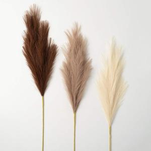imageSullivans Natural Faux Dried Reed Spray Set of 3 4325Inch Artificial Fake Flower Dried Reed Bundles Lifelike Centerpiece for Home Office Weddings and Gifts Decor