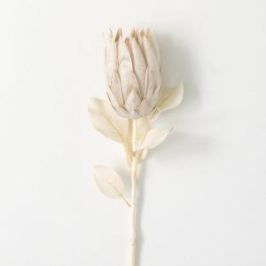 imageSullivans Natural Pale Cream Protea Steam 29Inch Artificial Fake Flower Lifelike Bouquet Centerpiece for Home Office Weddings and Gifts Decor
