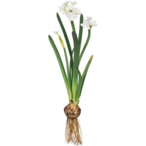 imageSullivans Paperwhite Flower with Bulb Stem 20quot White Narcissus Stem with Bulb White Small Daffodil Floral Stem Artificial Flowers Lifelike Paperwhite Realistic Flower GG51120