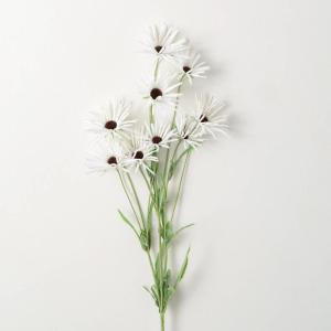 imageSullivans White Daisy Stem 38Inch Artificial Fake Flower Lifelike Centerpiece for Home Office Weddings and Gifts DcorWhite