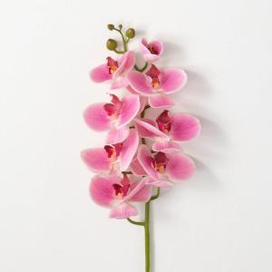 imageSullivans White Phalaneopsis Stem 385Inch Artificial Fake Flower Lifelike Centerpiece for Home Office Weddings and Gifts DcorPink