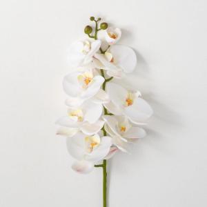 imageSullivans White Phalaneopsis Stem 385Inch Artificial Fake Flower Lifelike Centerpiece for Home Office Weddings and Gifts DcorWhite