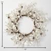imageSullivans 19 Inch Eucalyptus and Cone Wreath Christmas Artificial Wreath Winter Wreath Front Door Wreaths Indoor ampamp Outdoor Wreaths Door Entryway Porch Dcor WR941