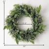 imageSullivans 22 Inch Eucalyptus and Sage Wreath Spring and Summer Artificial Wreath Everyday Wreath Front Door Wreaths Indoor ampamp Outdoor Wreaths Door Entryway Porch DcorESWR