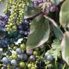 imageSullivans 22 Inch Vine Wreath Spring and Summer Artificial Wreath Everyday Wreath Front Door Wreaths Indoor ampamp Outdoor Wreaths Door Entryway Porch DcorLavender