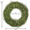 imageSullivans 22 Inch Vine Wreath Spring and Summer Artificial Wreath Everyday Wreath Front Door Wreaths Indoor ampamp Outdoor Wreaths Door Entryway Porch DcorVine