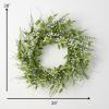 imageSullivans 28 Inch Leaf and Berry Wreath Spring and Summer Artificial Wreath Everyday Wreath Front Door Wreaths Indoor ampamp Outdoor Wreaths Door Entryway Porch Dcor