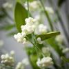 imageSullivans 5 ft Yellow Wildflower Garland Artificial Greenery Decor for All Seasons Perfect for Weddings Fireplace Mantels Dining and Living RoomsWhite Berry