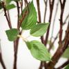 imageSullivans 72 Inch Mountain Leaf Potted Tree Everyday Artificial Trees Fake Indoor Tree Artificial Greenery Dcor Living Room Office Entryway Home Dcor