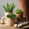 imageSullivans 7quot 5quot ampamp 45quot Mini Potted Succulent Set of 3 Everyday Home Decor Artificial Plants Indoor Artificial Greenery Room Kitchen Office ampamp Bathroom Dcor Fake Plants
