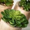 imageSullivans 7quot 5quot ampamp 45quot Mini Potted Succulent Set of 3 Everyday Home Decor Artificial Plants Indoor Artificial Greenery Room Kitchen Office ampamp Bathroom Dcor Fake Plants