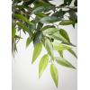 imageSullivans 80 Inch Smilax Tree Everyday Artificial Trees Fake Indoor Tree Artificial Greenery Dcor Living Room Office Entryway Home Dcor